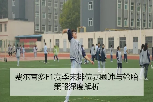费尔南多F1赛季末排位赛圈速与轮胎策略深度解析