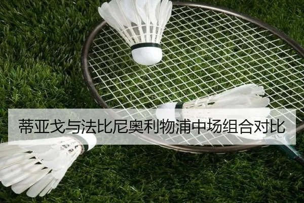 蒂亚戈与法比尼奥利物浦中场组合对比